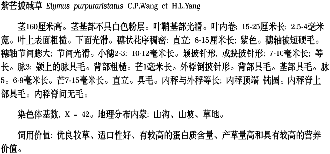Chinese description