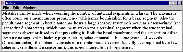 id18 - character notes for 'number of antennal segments'