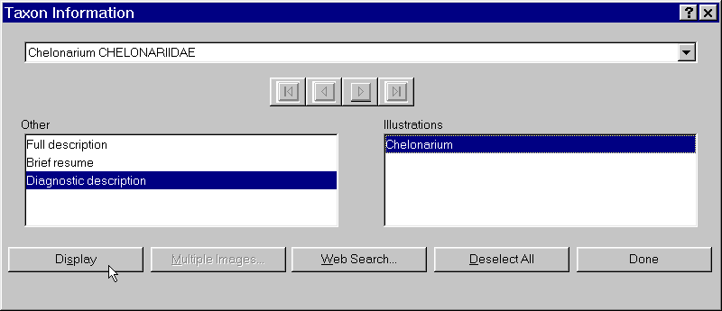Intkey - 'Taxon Information' dialog